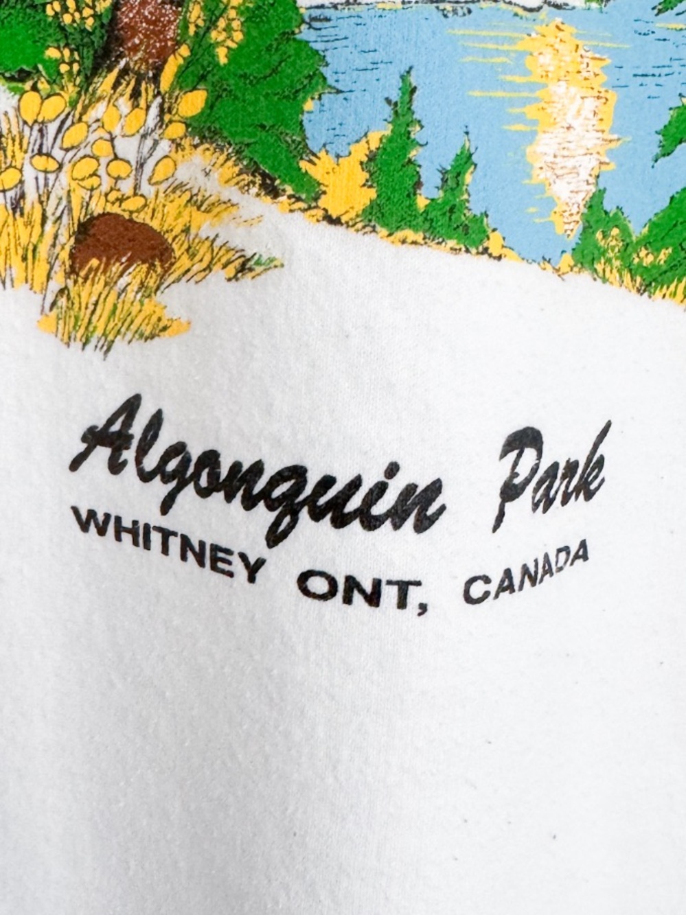 Vtg Algonquin Park Ontario Deer Hoodie M White Daquin Cottagecore Cabincore - Picture 8 of 10